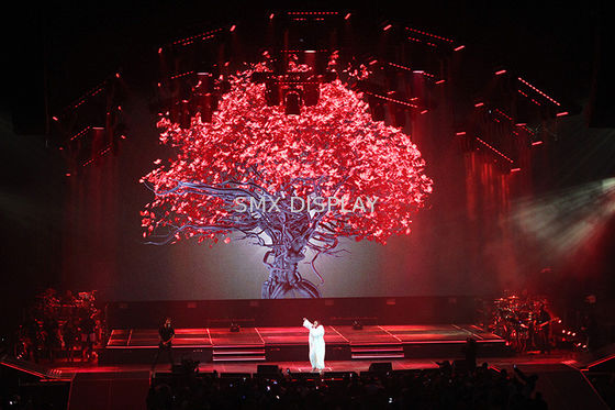 Jakość Przezroczysty ekran projekcyjny holograficzny Materiał poliamidowy 3D Hologram Show Fabryka