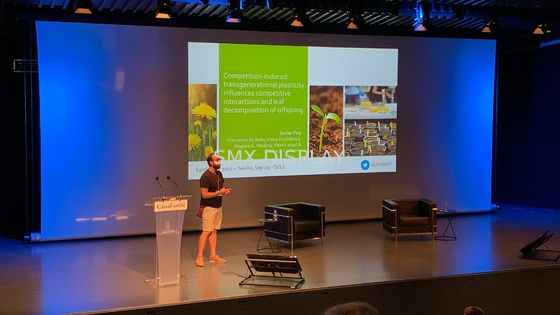 jakość 350-calowy duży zmotoryzowany ekran projekcyjny z pilotem RF Fabryka